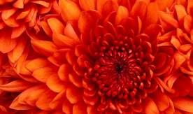 «КАДРЫ РЕШАЮТ ВСЕ…»