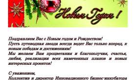 Предновогоднее поздравление Инновационного бизнес-инкубатора ВГУЭС