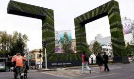 Фитостены и их применение в современном ландшафтном дизайне