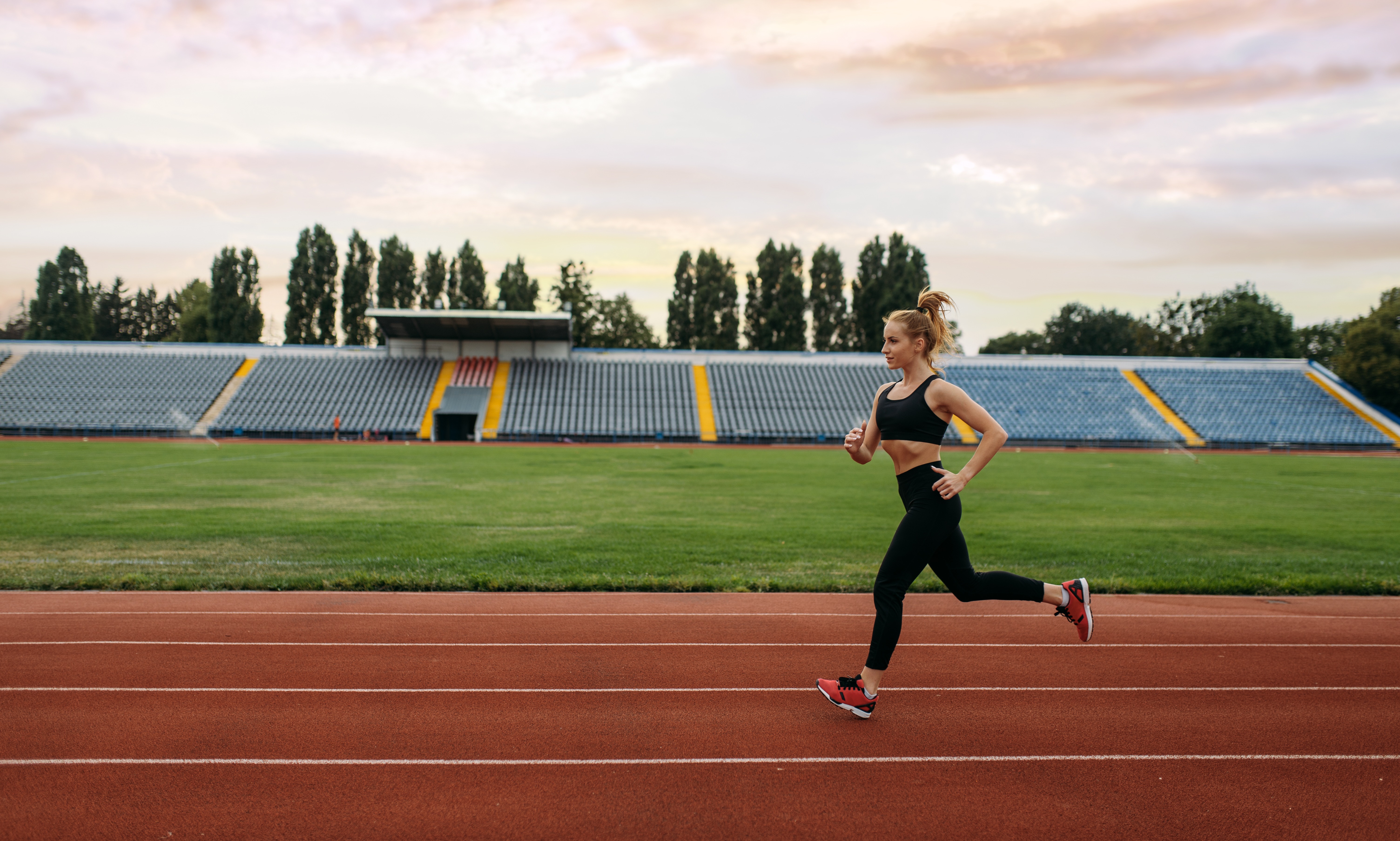 Базовые секции