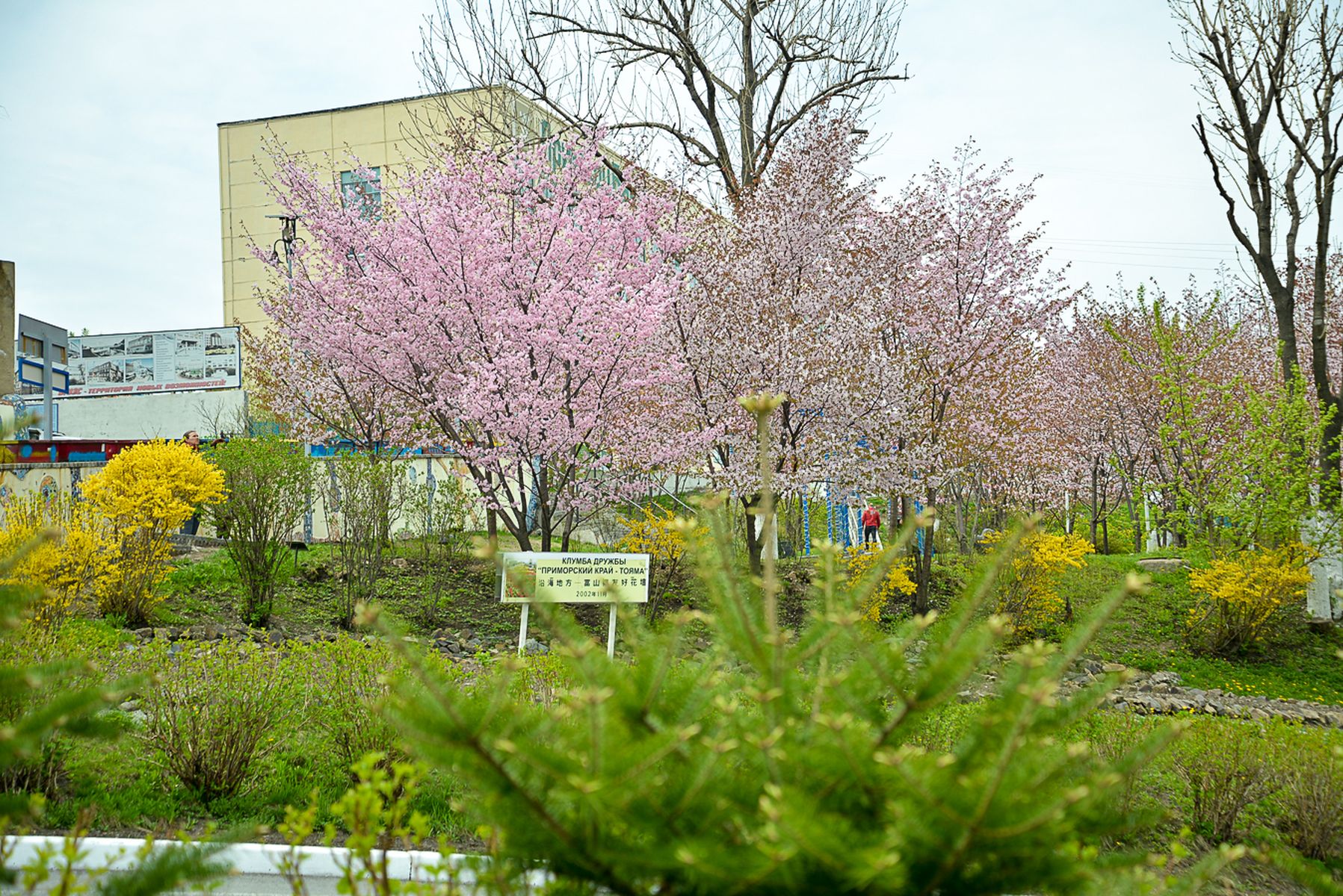 МНОЦ Растительные ресурсы