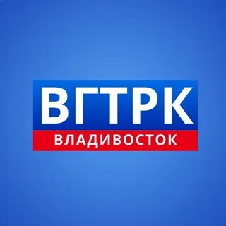Стажировка и практика