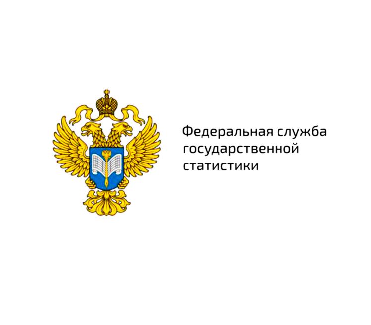 Федеральная служба госстатистики