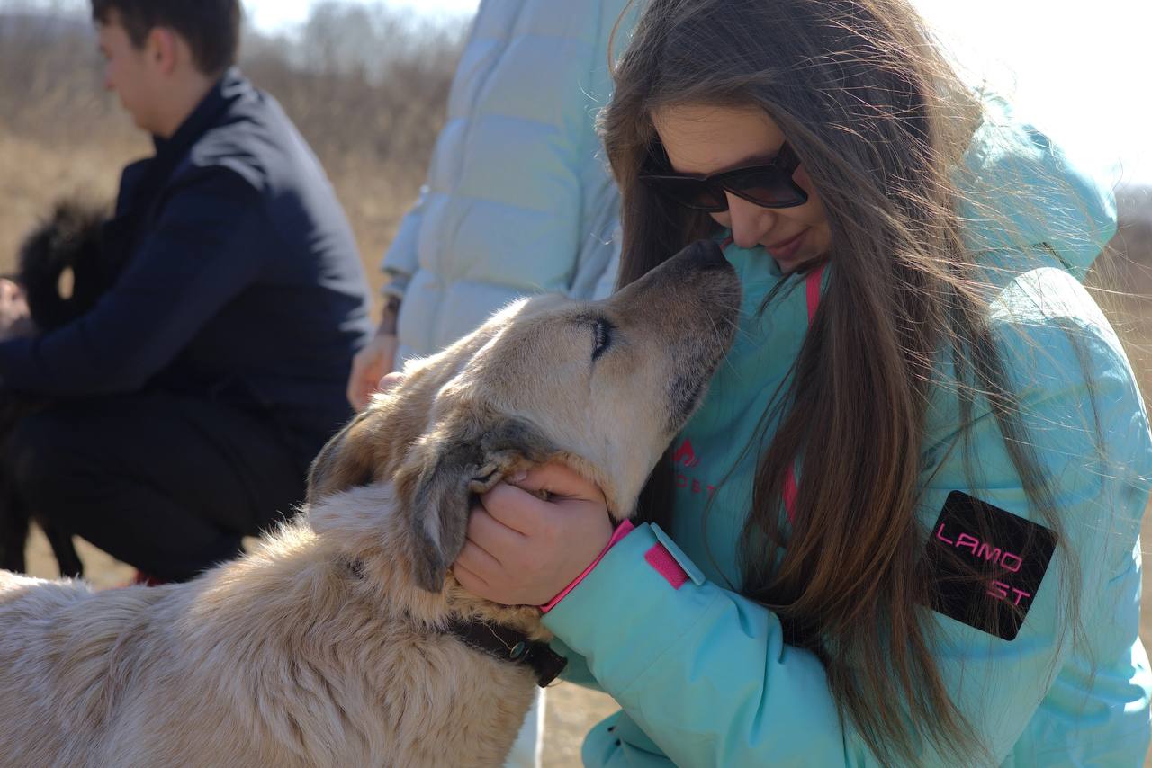 Социальное волонтёрство