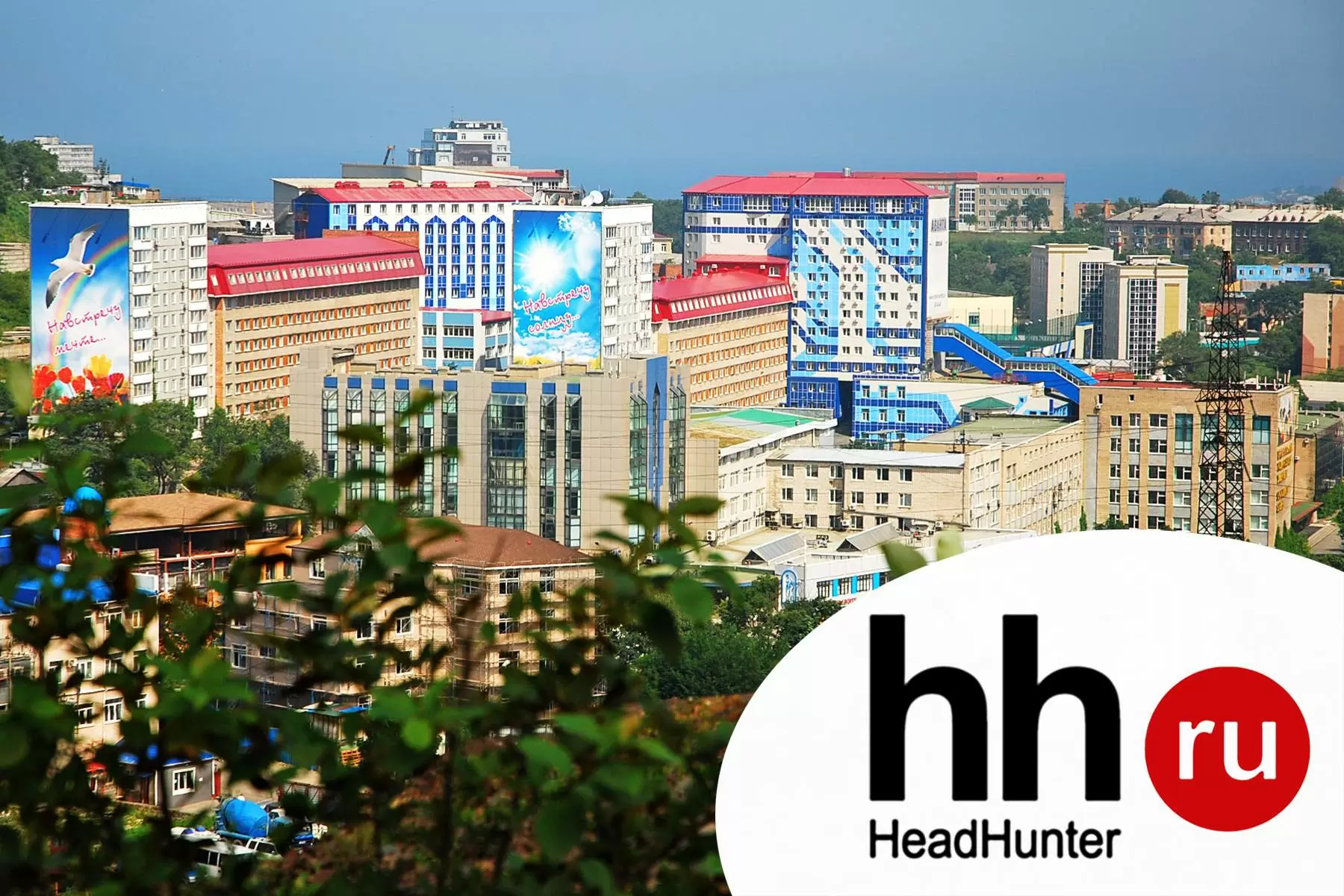 ВВГУ вошел в рейтинг лучших российских вузов по версии hh.ru