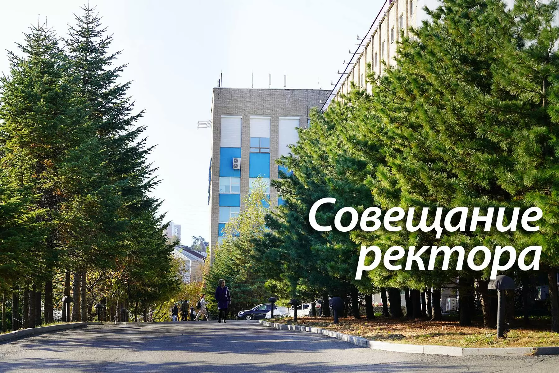 Татьяна Терентьева: Мы создаём Клуб выпускников ВВГУ–ВГУЭС–ДВТИ. Присоединяйтесь!