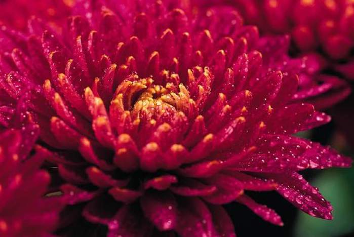 Поздравляем Алексеенко А.П. с назначением специальной государственной стипендии Правительства Российской Федерации