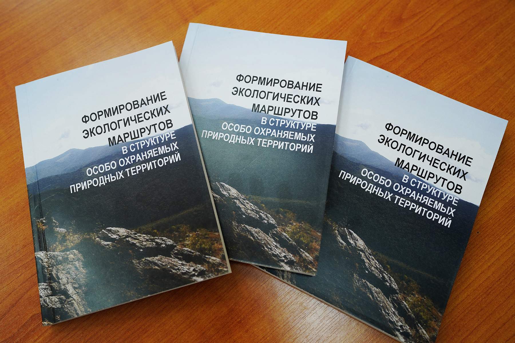 В издательстве ВГУЭС вышла монография «Формирование экологических маршрутов в структуре особо охраняемых природных территорий»