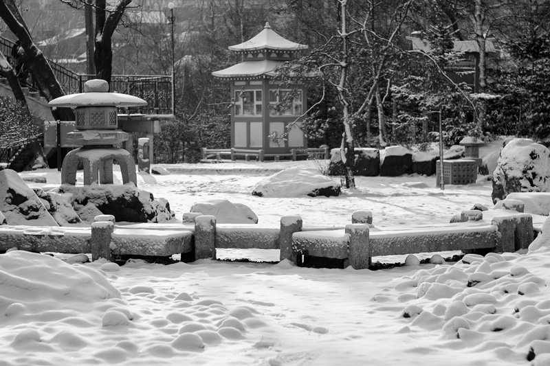 Сад Моримото ВГУЭС – в работах каллиграфии и фотографиях