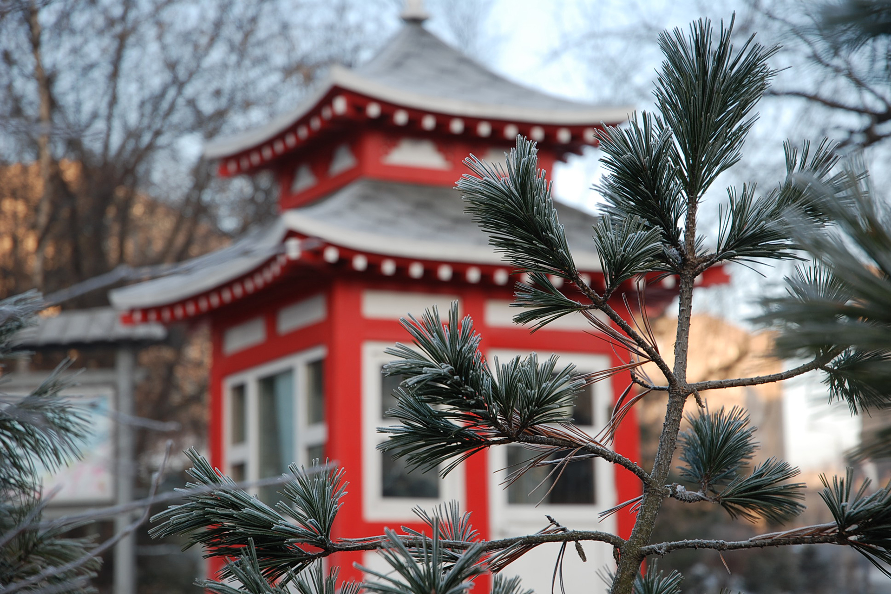 ВВГУ запустил бот с ключевыми сервисами университета