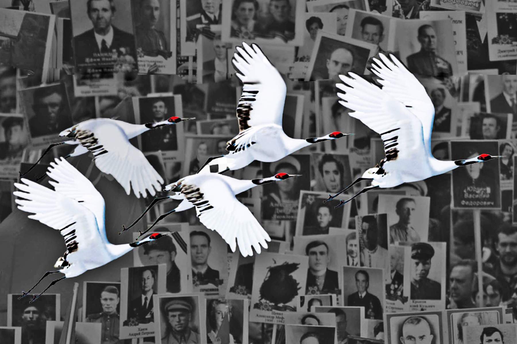 «Журавли Победы»: стань участником акции ВГУЭС – отправь портрет своего героя