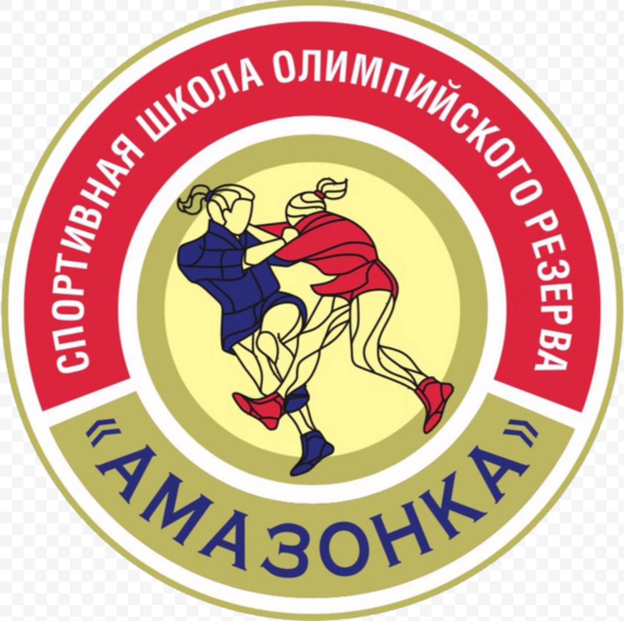 Спортивная школа олимпийского резерва женских единоборств «Амазонка» имени Ю.А. Леонтьева