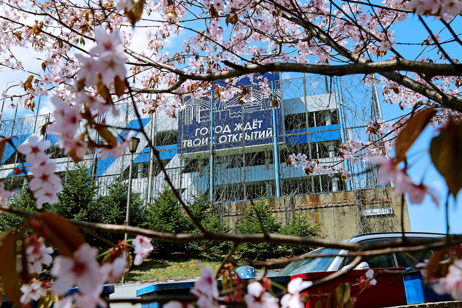 Геннадий Лазарев о любимом Владивостоке.  Это ВГУЭС!