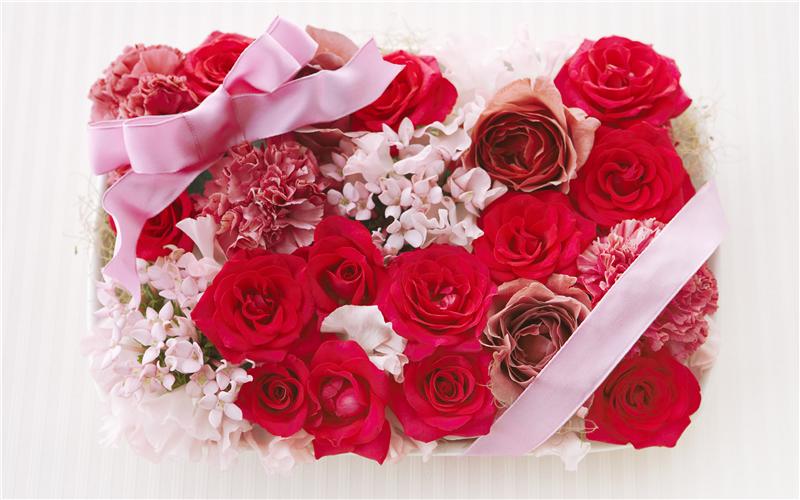 Поздравляем следующих студентов  с переводом на бесплатное обучение !