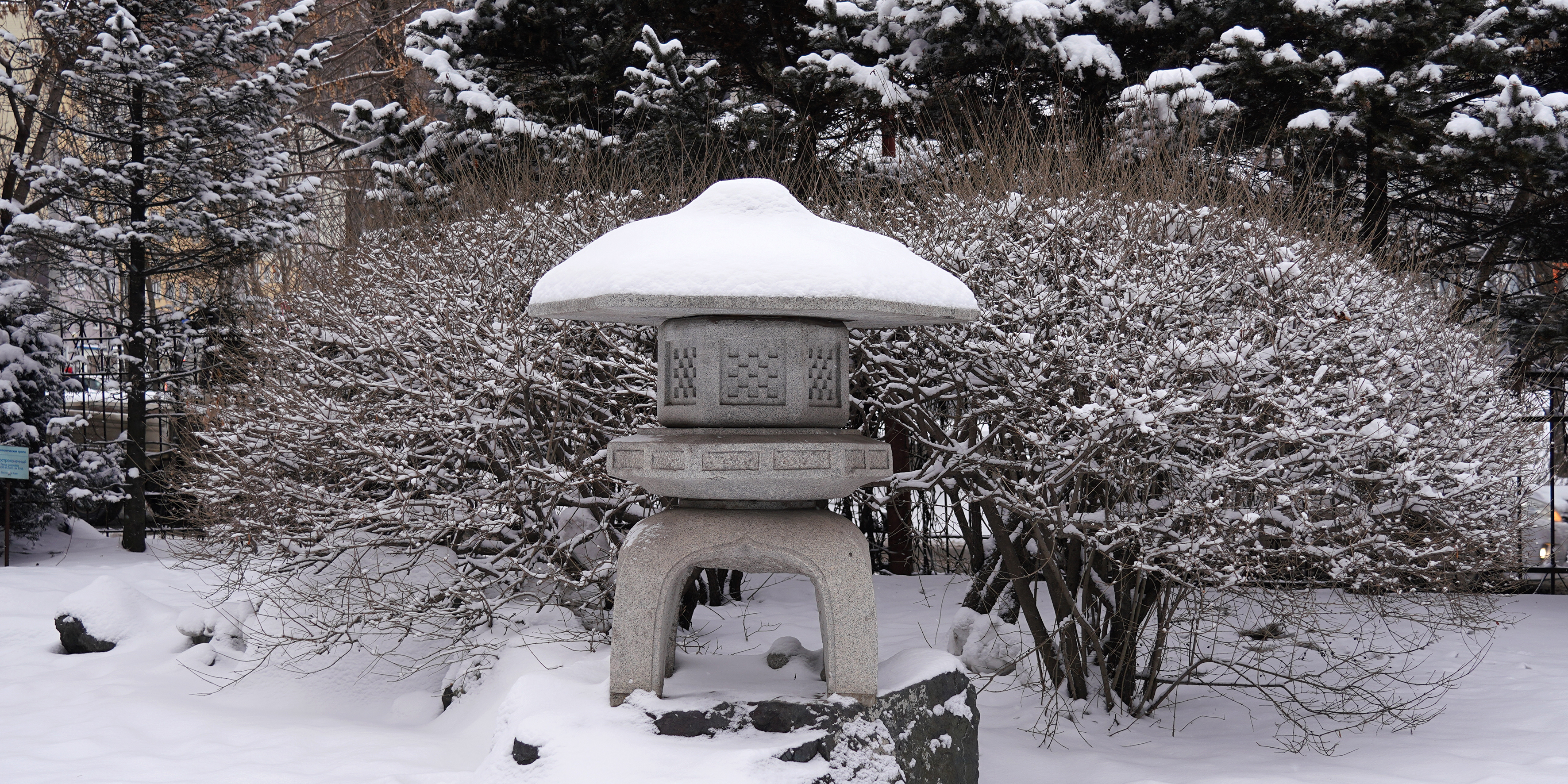 Встречаем ВВГУ в первом февральском снегу