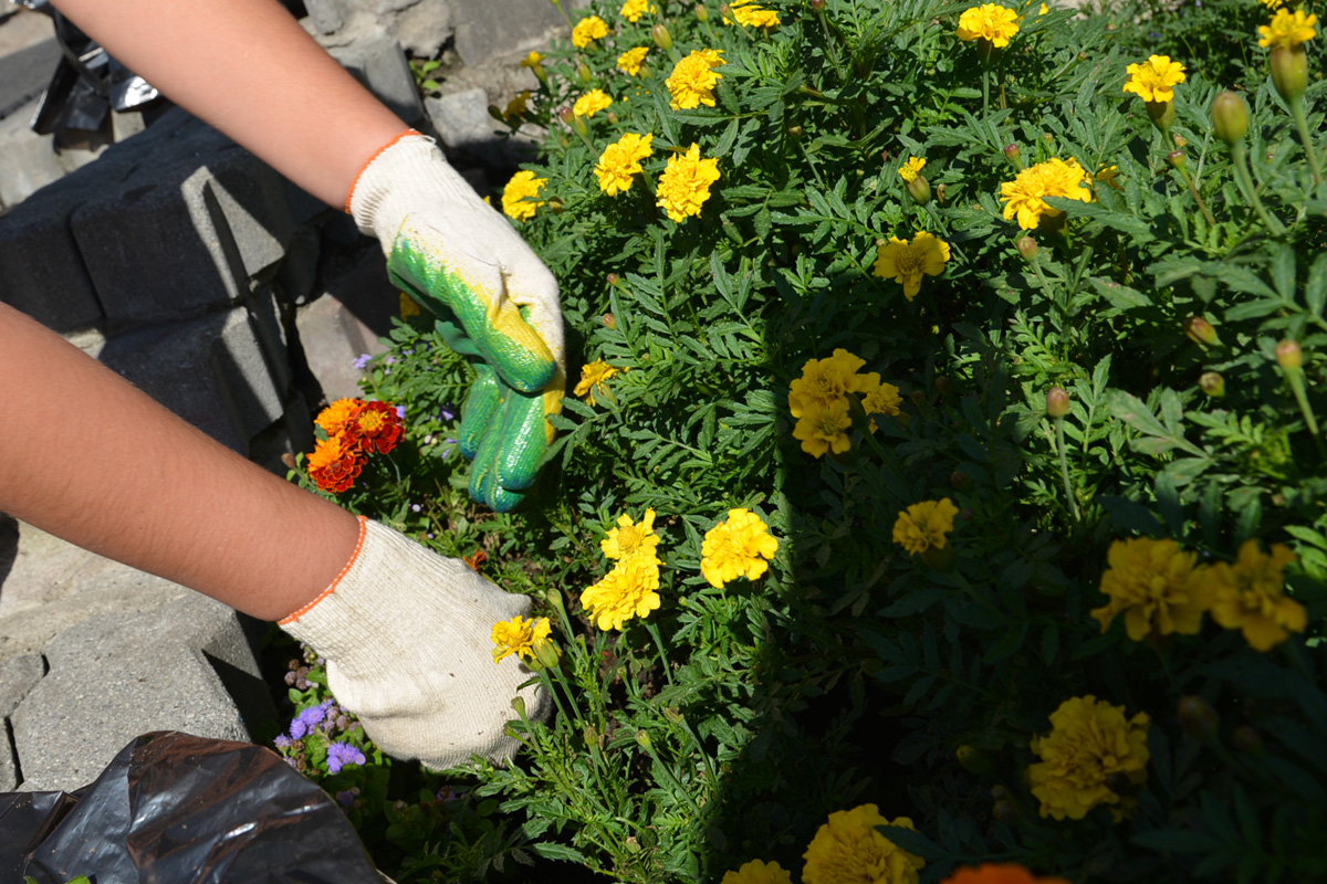 Социальная практика студентов ВГУЭС: вчера, сегодня, завтра
