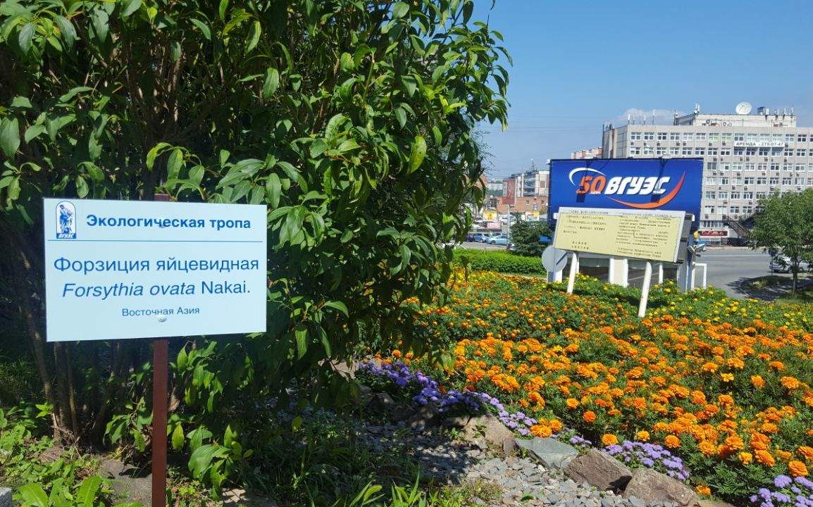 Новая жизнь экологической тропы ВГУЭС