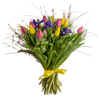 Поздравляем  с победой в конкурсах на назначение стипендии !