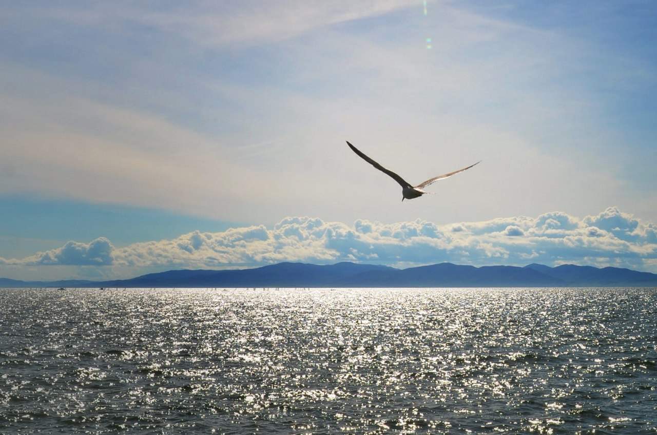 Жюри определило победителей конкурса на лучший слоган по продвижению Дальнего Востока