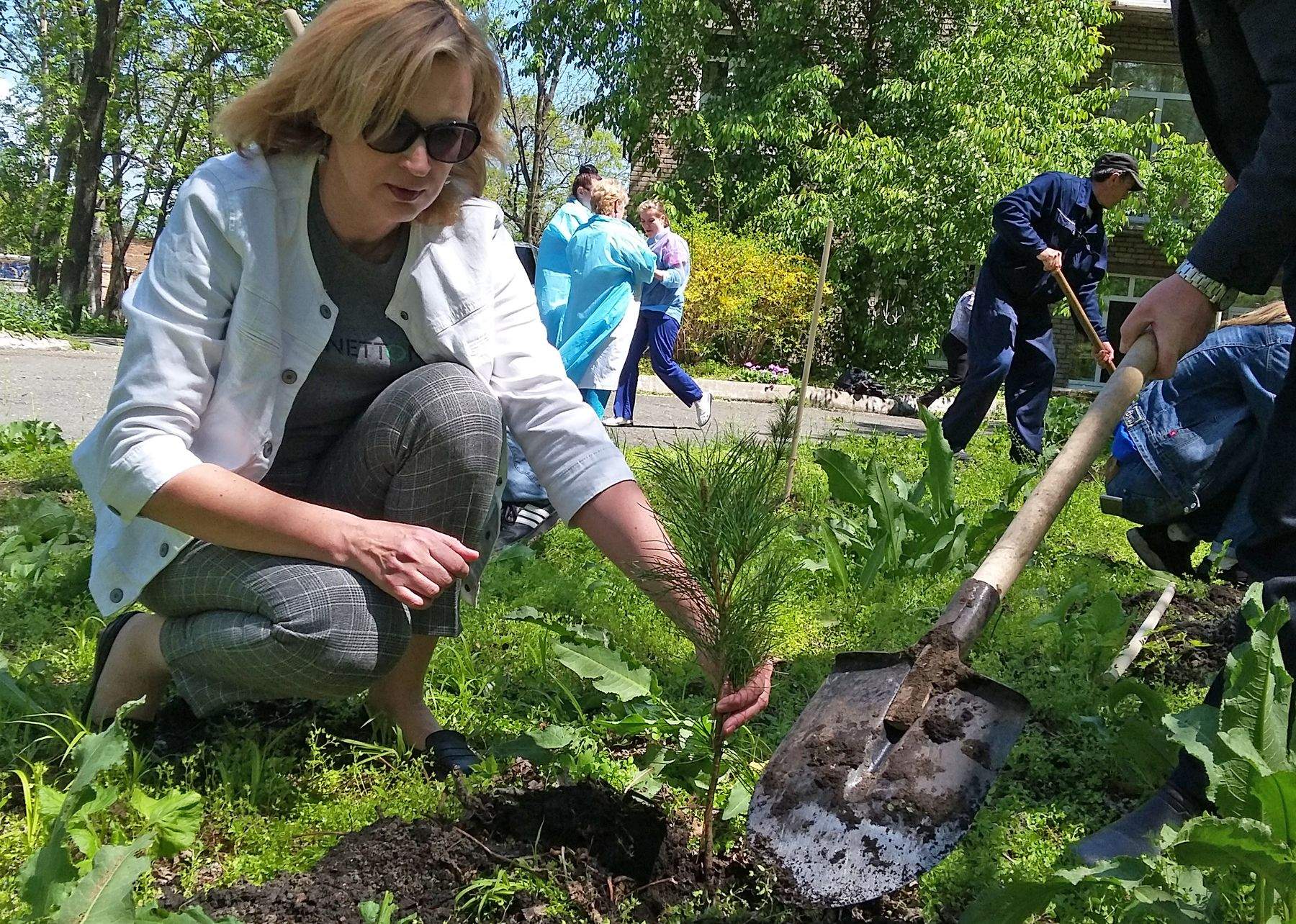 Кедровый гектар: студенты ВГУЭС высадили кедры в детской клинической больнице