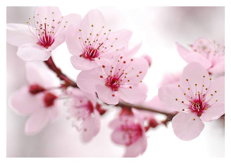 Поздравляем Евгению Абросимову с  защитой кандидатской диссертации