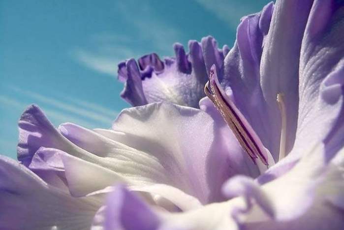 Поздравление ректора с Праздником Весны