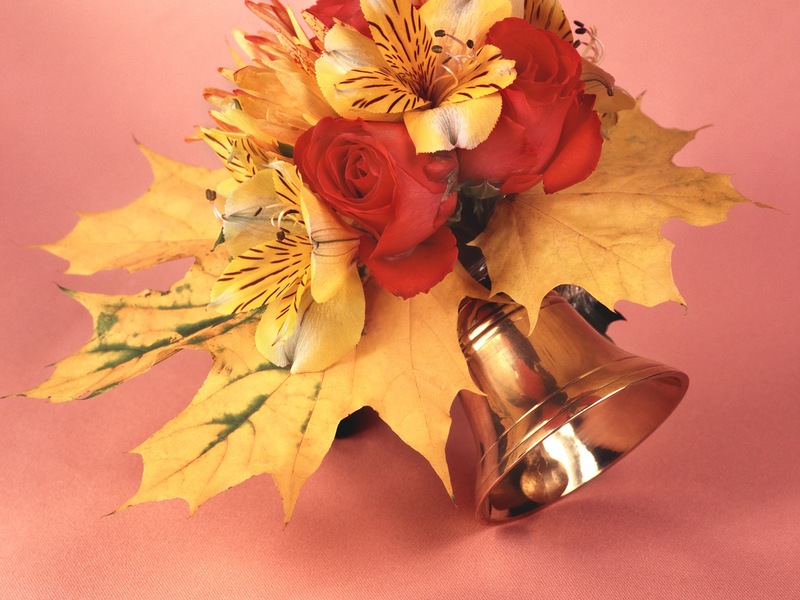 Поздравляем первокурсников!