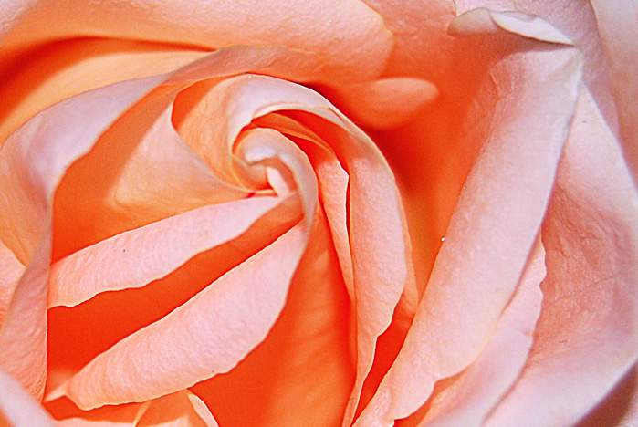 Поздравляем Личковаха Анну Викторовну с блестящей защитой диссертации на соискание ученой степени кандидата юридических наук