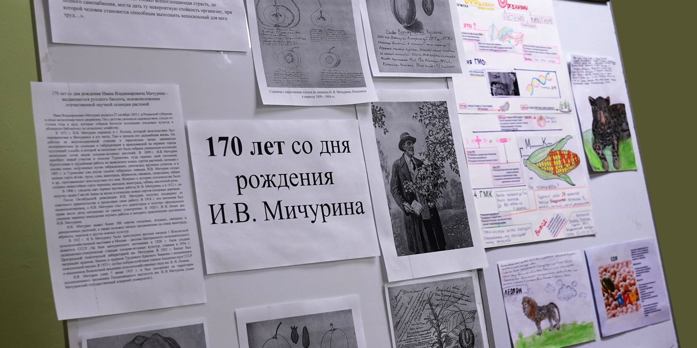 Выставка к 170-летию российского биолога Ивана Мичурина открылась в ВВГУ