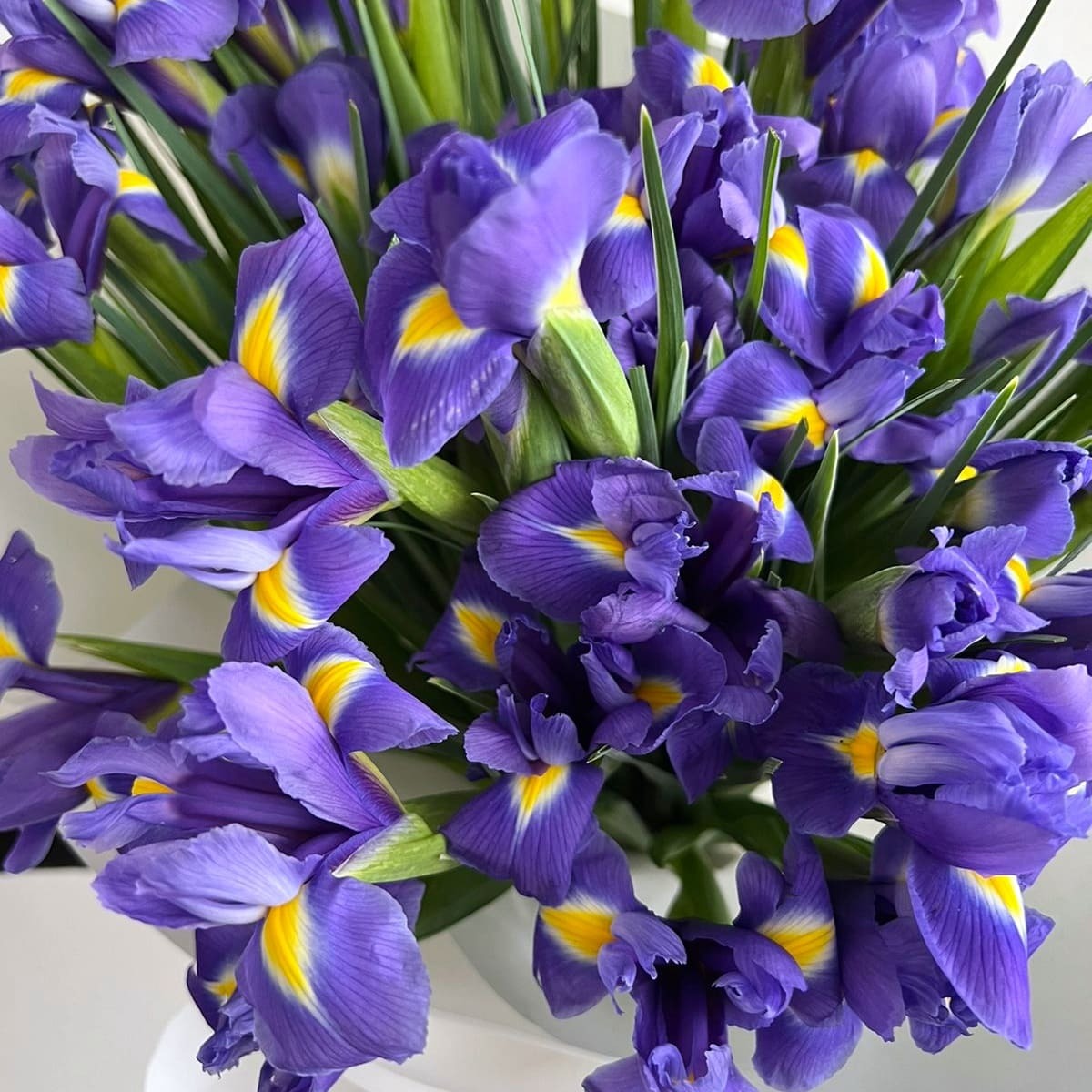 Поздравляем с победой в конкурсе на назначение повышенной государственной академической стипендии и именной стипендии ФГБОУ ВО "ВВГУ" за особые достижения !