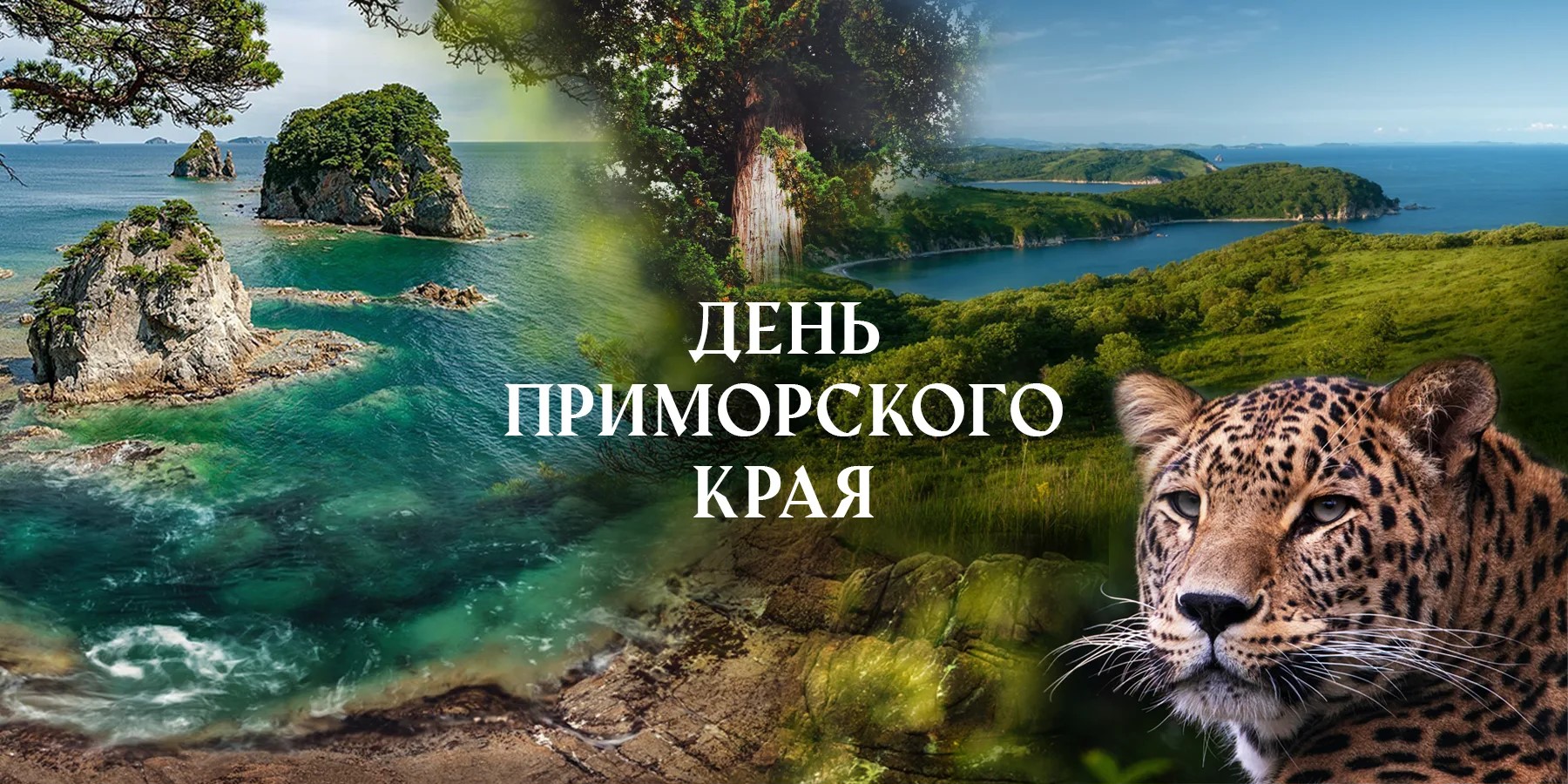 Поздравление ректора ВВГУ Татьяны Терентьевой с Днём Приморского края