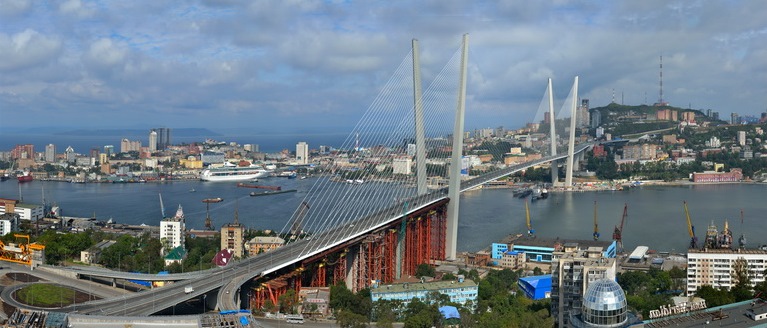 К работе над Стратегией развития Владивостока привлечены лучшие научные кадры ВГУЭС