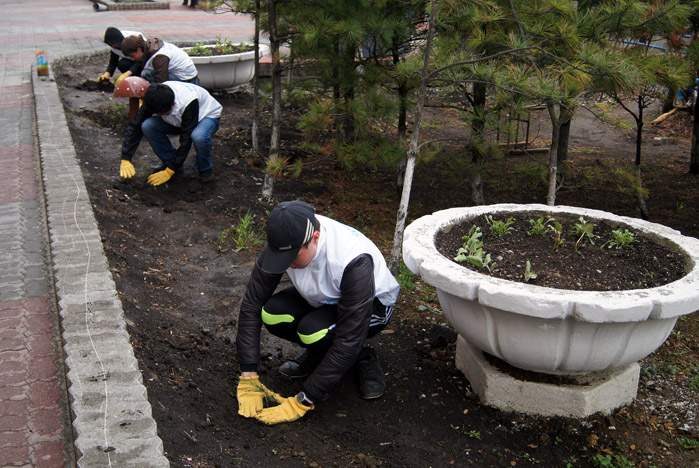 В день рождения Центра волонтеров во ВГУЭС заложена «Волонтерская аллея»