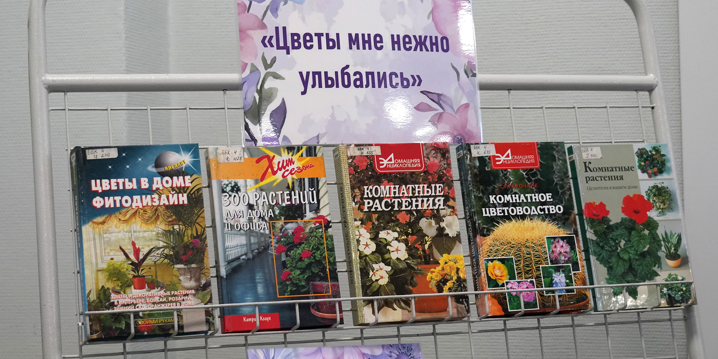 Цветы души и рук творенье: в ВВГУ прошла выставка цветов и рукоделия сотрудниц университета