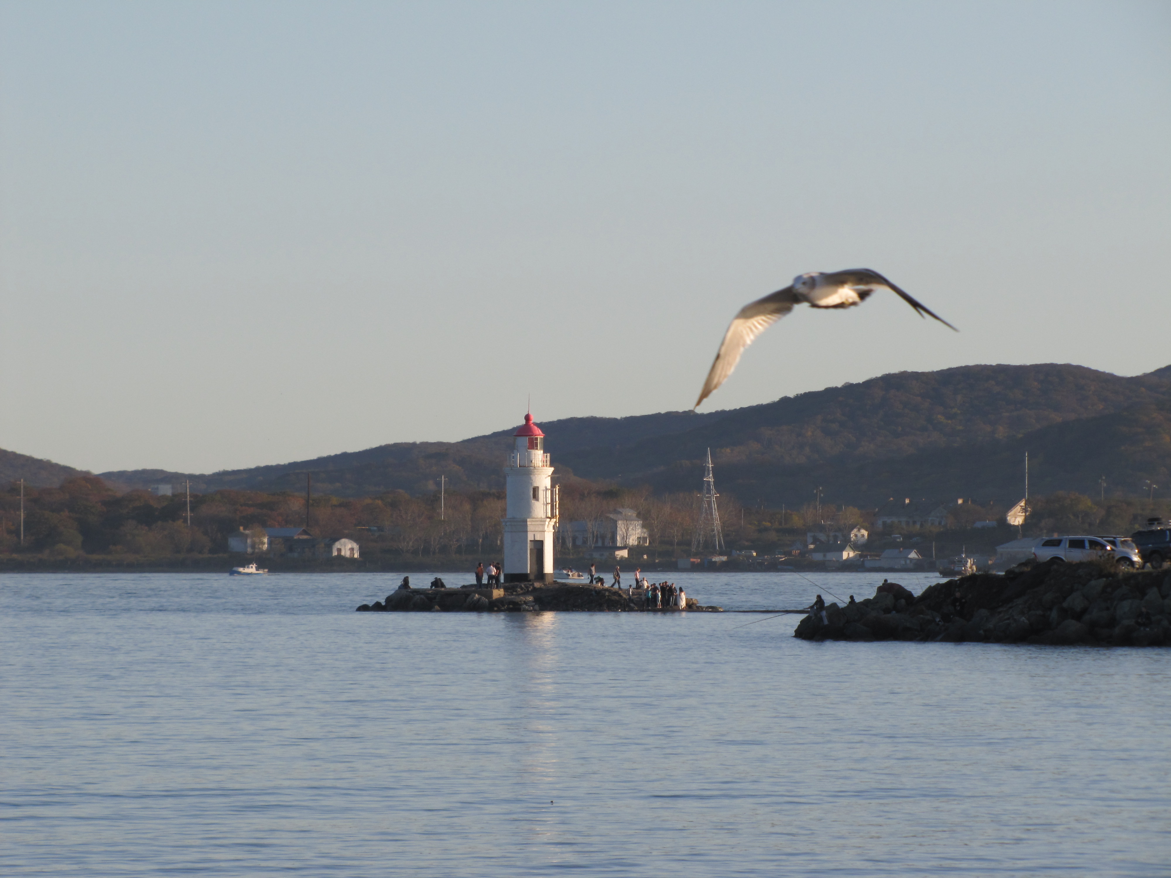 во Владивостокском государственном университете экономики и сервиса  состоялся Международный симпозиум «Экологические проблемы природопользования и охрана окружающей среды в Азиатско-Тихоокеанском регионе» и Конференция-конкурс для студентов «Живые систем