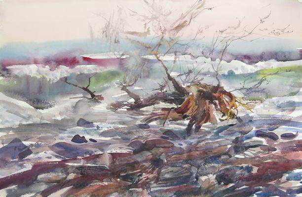 В Музейно-выставочном комплексе ВГУЭС открылась выставка Ольги Игнатенко «Течение»