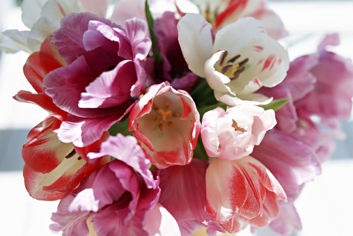 Коллектив университета поздравил  проректора по научной работе с юбилеем