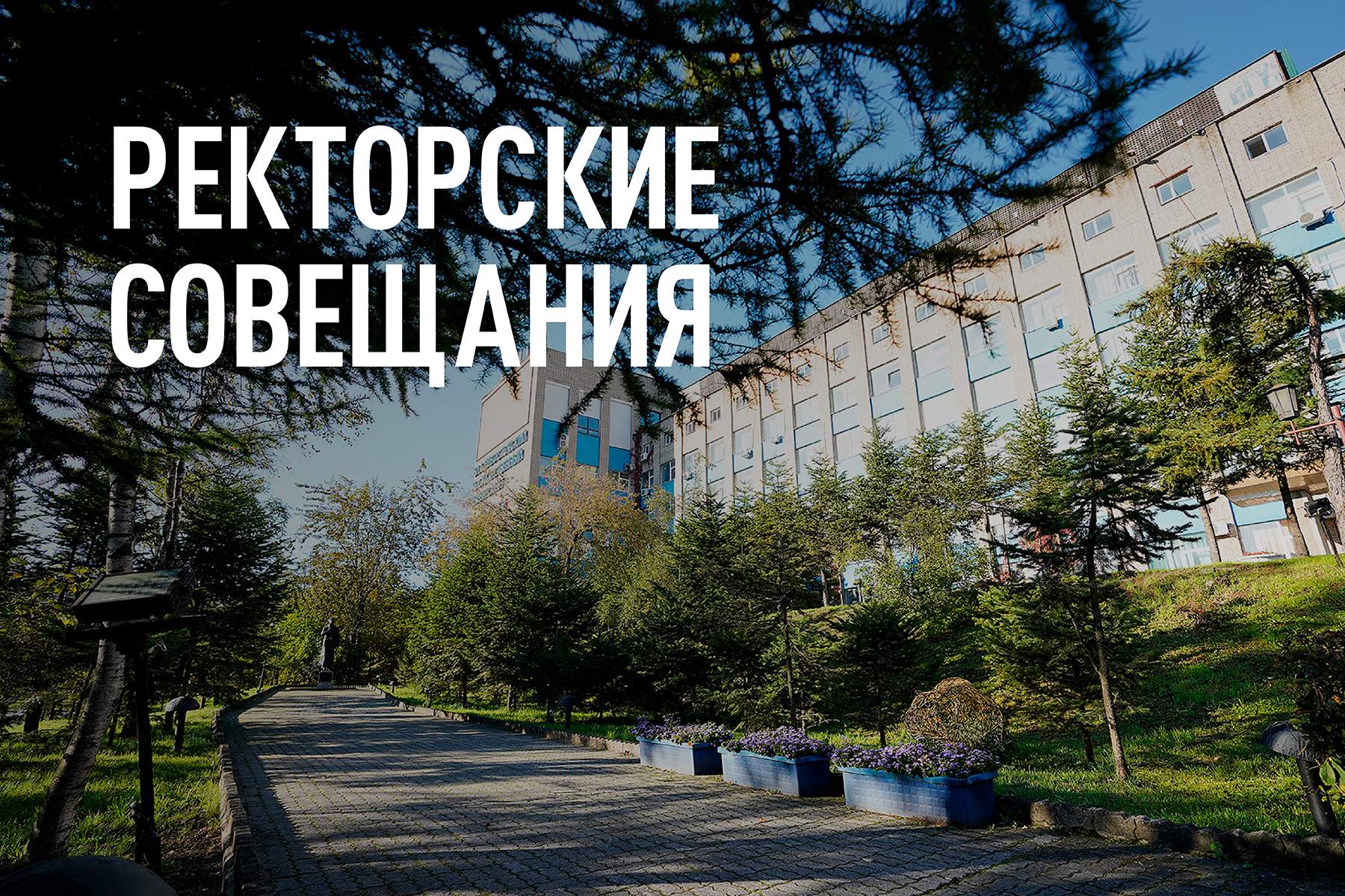 Ректорское совещание: в дело вступают студенты-амбассадоры ВВГУ