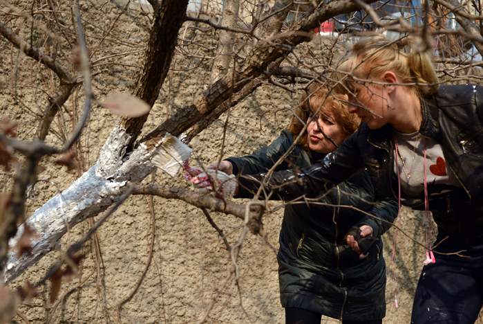 Весеннее обновление ВГУЭС