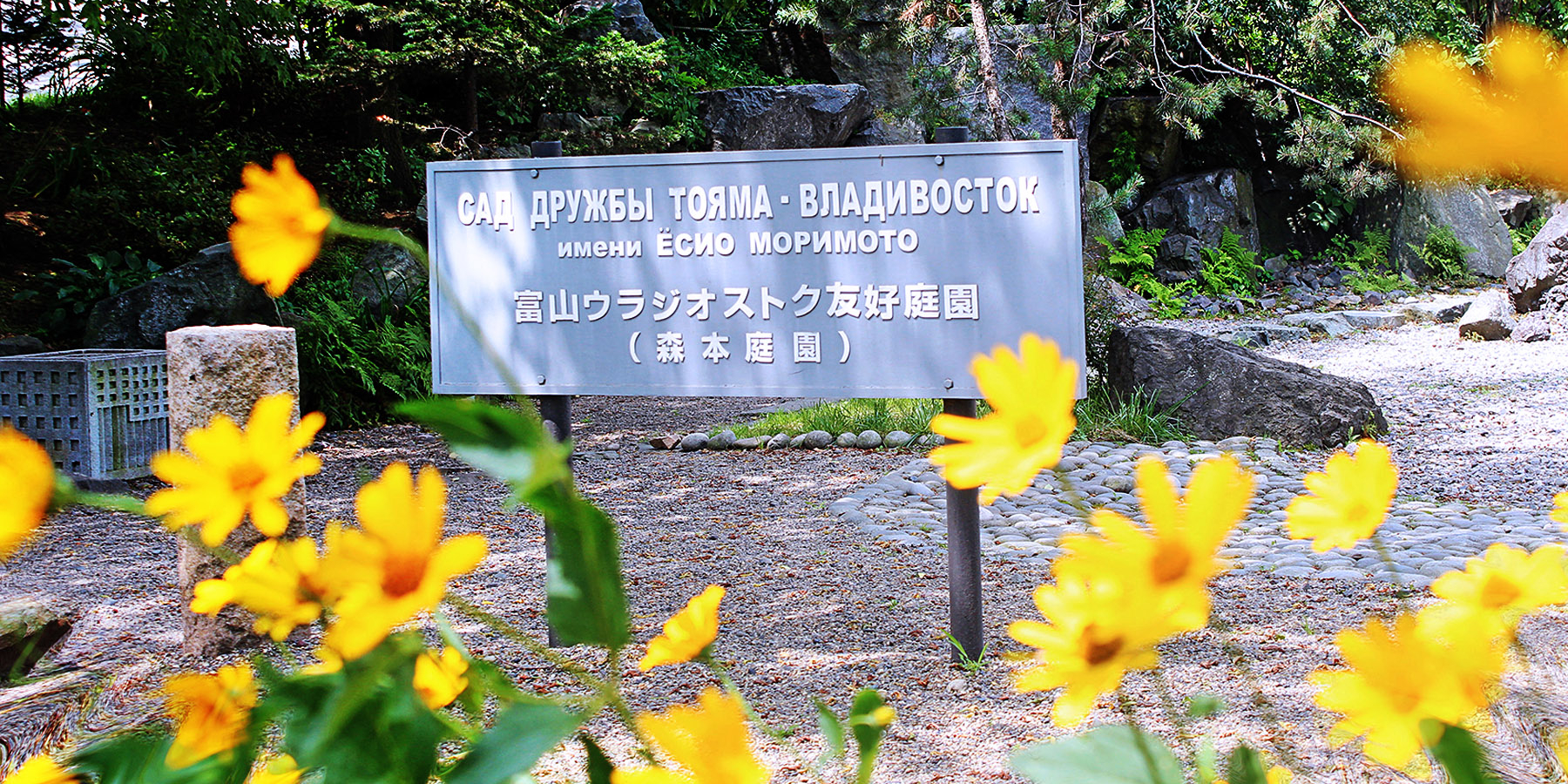 Японские журналисты рассказали о Саде дружбы Тояма – Владивосток, созданном в кампусе ВВГУ