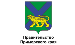 Правительство