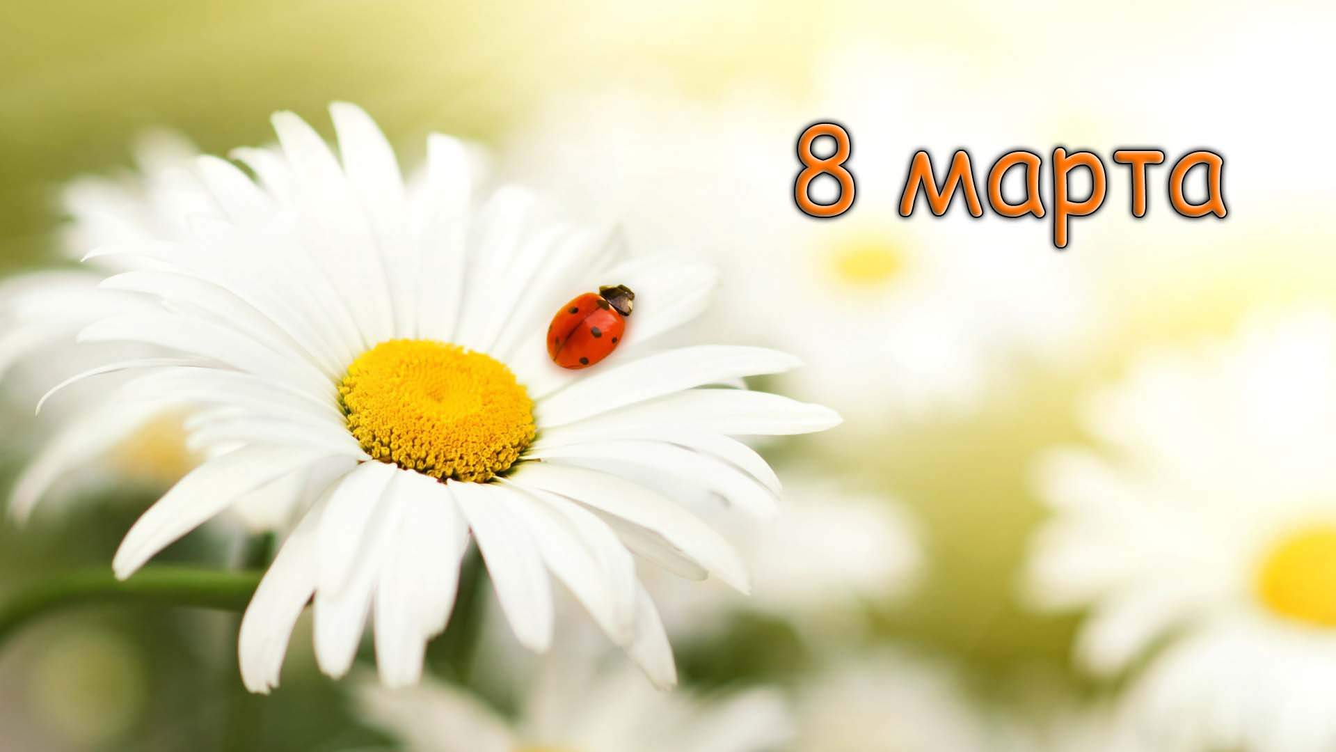 С праздником весны, прекрасные дамы!