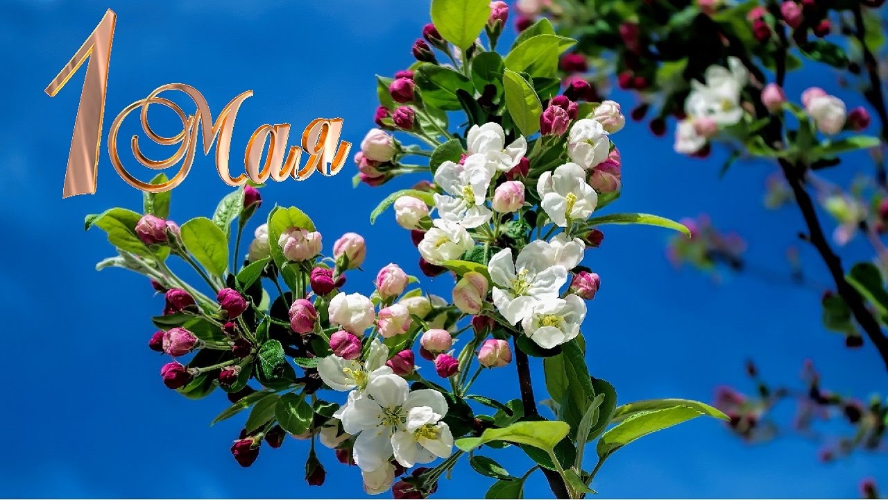 Поздравление ректора и президента ВГУЭС с 1 Мая