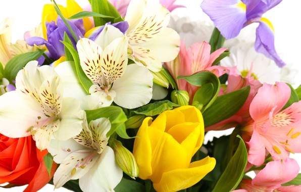 Поздравляем Зверева Григория Александровича