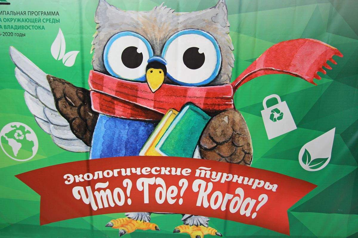 Экологические игры как выбор профессии