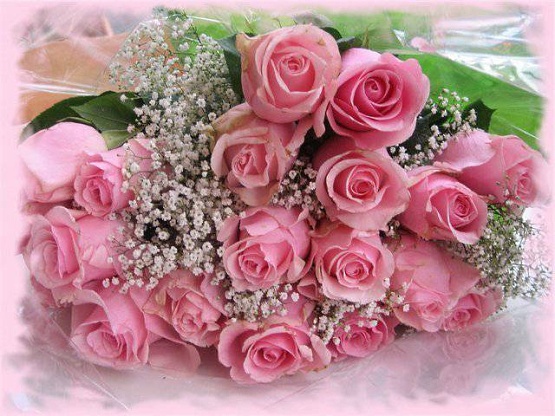 Поздравляем директора Института права ВГУЭС Светлану Литвинову с защитой диссертации