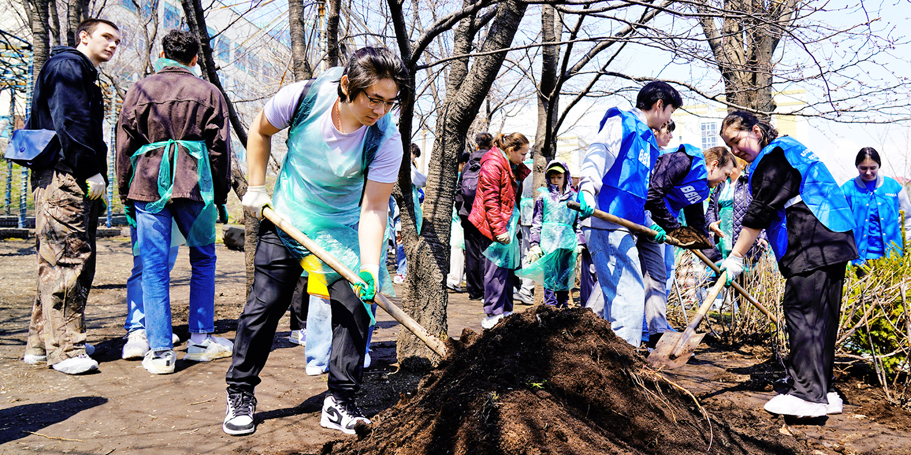 Аллея Славы к 80-летию Победы появилась в дендропарке ВВГУ