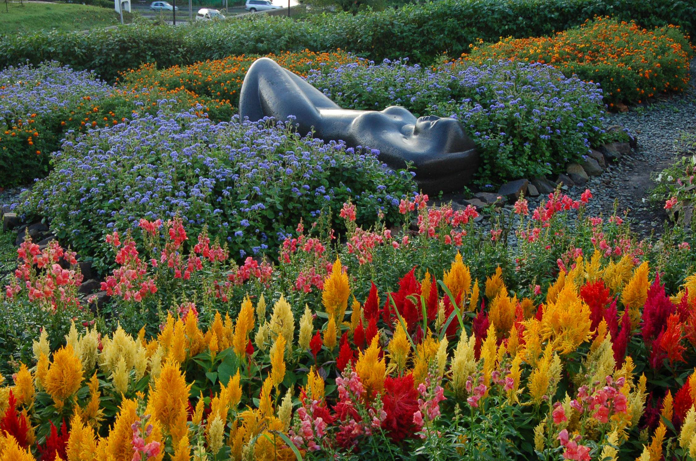 Ректор ВГУЭС Геннадий Лазарев: «Парк ВГУЭС – удивительное место Приморского края»