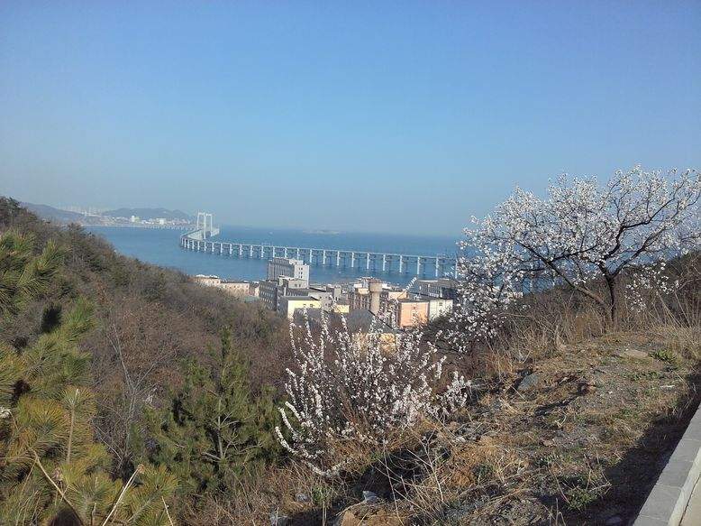 Студенты экономисты получают второе высшее образование в Даляне