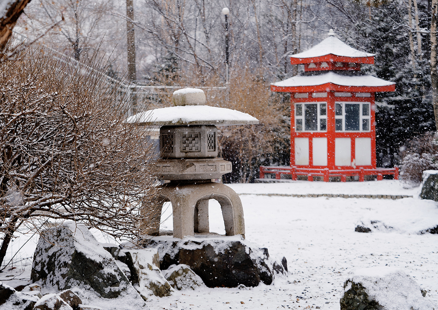 ВВГУ прошел аккредитацию программы «Садово-парковое и ландшафтное строительство»